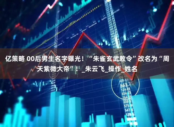 亿策略 00后男生名字曝光！“朱雀玄武敕令”改名为“周天紫微大帝”！_朱云飞_操作_姓名