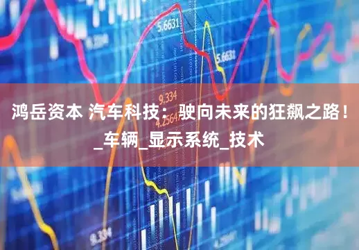 鸿岳资本 汽车科技：驶向未来的狂飙之路！_车辆_显示系统_技术