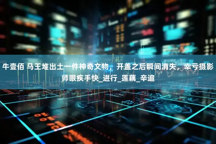 牛壹佰 马王堆出土一件神奇文物，开盖之后瞬间消失，幸亏摄影师眼疾手快_进行_莲藕_辛追
