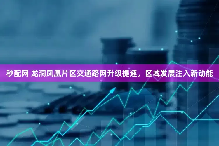 秒配网 龙洞凤凰片区交通路网升级提速，区域发展注入新动能