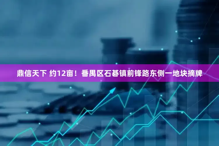 鼎信天下 约12亩！番禺区石碁镇前锋路东侧一地块摘牌